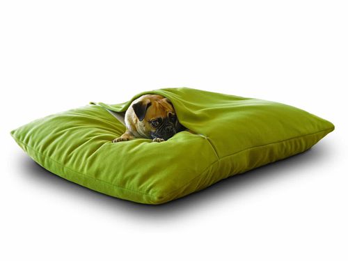Kissen für Haustiere (Hund und Katze) - DIVAN DUE - pet.interiors - rechteckig / einfarbig / für Privatgebrauch
