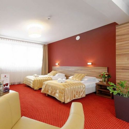 Modernes Hotelzimmer - ARMET BIS SP.Z O.O. 