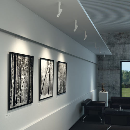 Deckenstrahler - HUBBLE - OLIGO - LED / Objekteinrichtung / für Privatgebrauch