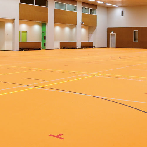 PVC-Bodenbelag - DURASPORT - VIRAG S.R.L.  - Vinyl / für den Innenraum / für Fitnessstudio