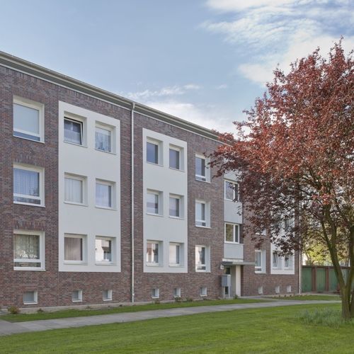 Klinkerriemchen - CARBONA - Feldhaus Klinker - Ziegel / Ton / für Fassaden