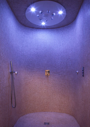 Erlebnisdusche - WATER FUN ID1 - WDT - Werner Dosiertechnik - für Gewerbegebrauch / für Spa