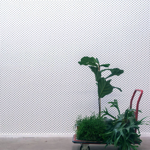 Moderne Tapete - PARTICLES - NLXL - Motiv / Stoffoptik / Vlies