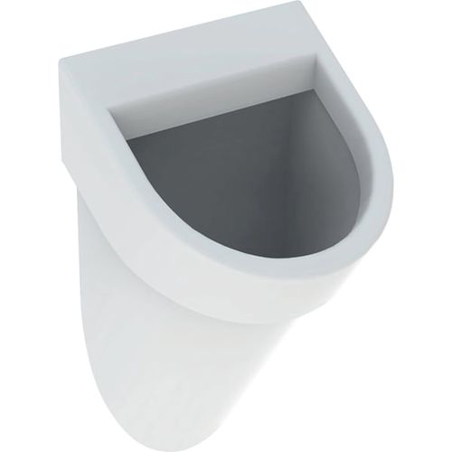 Keramik-Urinal - 235900000 - GEBERIT - wandmontiert / für professionellen Einsatz