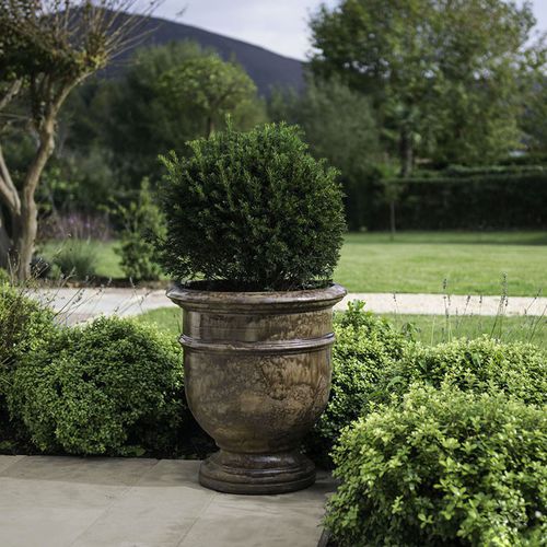 Terrakotta-Pflanzgefäß - VPL - Poterie Goicoechea - rund
