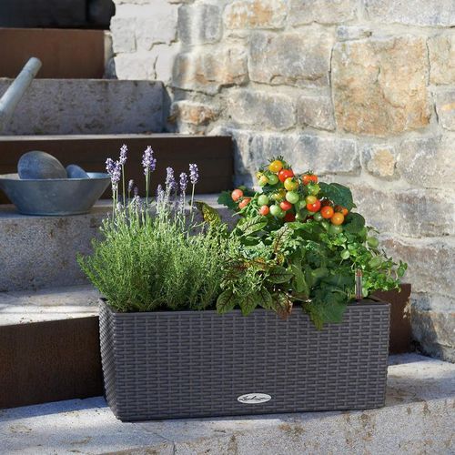 Kunststoff-Pflanzkübel - BALCONERA - Lechuza - rechteckig / modulierbar / hängend
