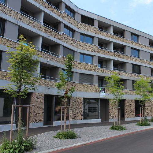 Fassadenverkleidung für hinterlüftete Fassade - CELLON-MFH BADEN - Bruag Design Factory AG - Paneel / HPL / texturiert