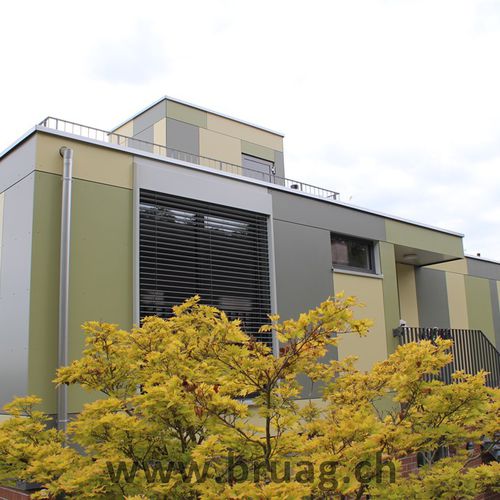 Paneel-Fassadenverkleidung - CELLON EFH-EFFERTIKON - Bruag Design Factory AG - Verbundwerkstoff / HPL / glatt