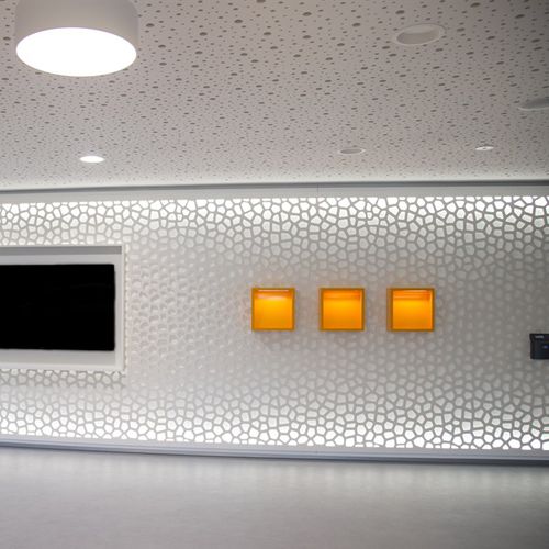Innenwandverkleidung - ENBW ELLWANGEN - Bruag Design Factory AG - texturiert / perforiert / für Dienstleistungsbereich