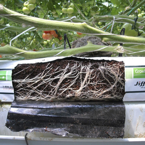 Kokostorfanzuchtsubstrat - GROWBAG - JIFFY - in Säcken / grob / für biologische Landwirtschaft
