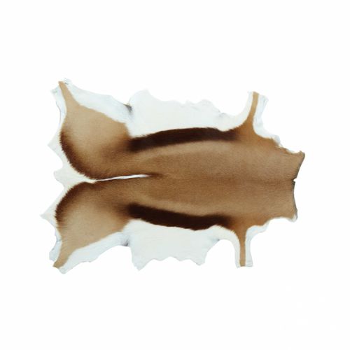 Moderner Teppich - GAZELLE - Mambo Unlimited Ideas - Motiv / Tierfell / rechteckig