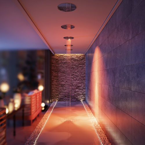 Duschkopf für Deckeneinbau - PARADISE SPA 30 TOP - Aquademy - rund / Regenstrahl / Wasserfall