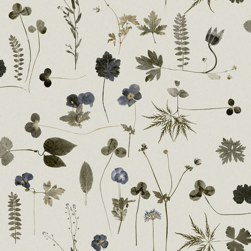Moderne Tapete - BOTANICA - Eco - Blumenmotive