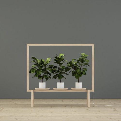 Aluminium-Pflanzenstütze - GREENFRAME - GLIMAKRA - Holz / bogenförmig / Dekor