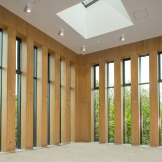 Akustikplatte für Decke - 16/3 - akustik plus Behringen GmbH & Co. KG - für Wand / für Trennwand / Holz