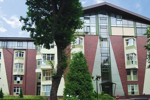 Ziegel-Fassadenverkleidung - WILD WINE - King klinker - Klinker