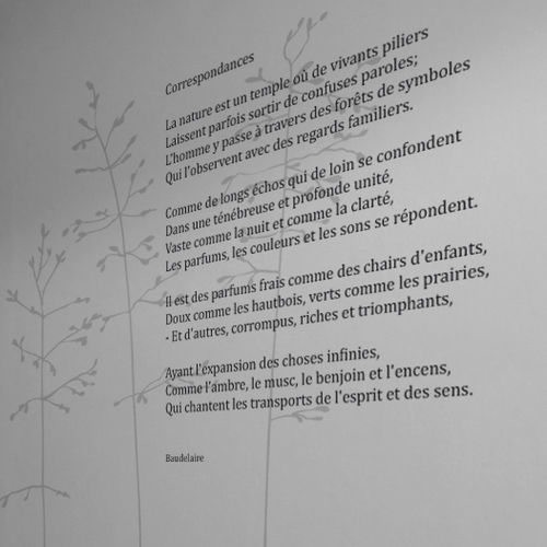 Text-Wandtattoo - POESIE NOCTURNE CORRESPONDANCE - Atelier d'Art Osmoze - Design & décoration murale
