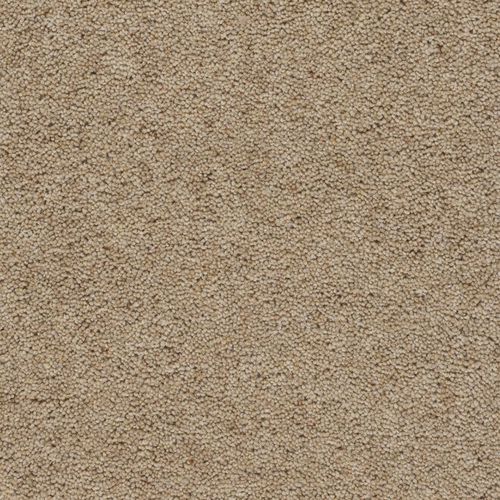 Tuft-Teppichboden - DEVONIA HEATHER PLAIN - Axminster carpets - Wolle / für Privatgebrauch / für Gewerbegebrauch