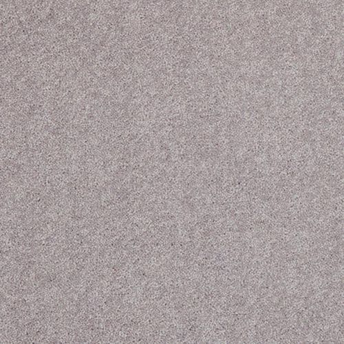 Gewebter Teppichboden - DIMPSEY - Axminster carpets - Wolle / für Gewerbegebrauch / Rollen