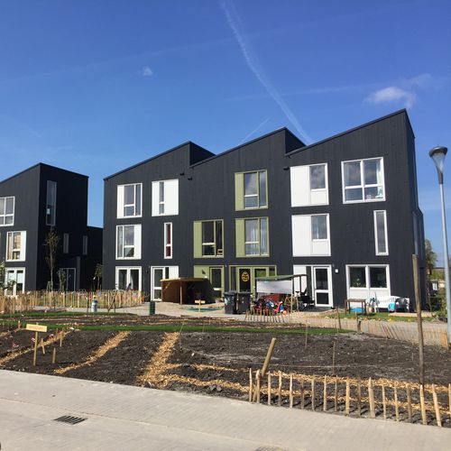 Paneel-Fassadenverkleidung - Lankhorst - Recyclingkunststoff / texturiert / Holzoptik