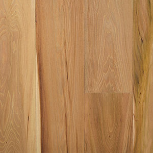 Mehrschichtparkett - PREMIUM PLANK: ELM NATURAL - Trapa Boden - Ulme / mit Naturöl geölt / verklebt
