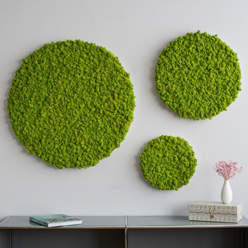 Kugel Stabilisierte Moos - SG-KR-IS - FlowerArt GmbH - für Pflanzenbild / Paneel