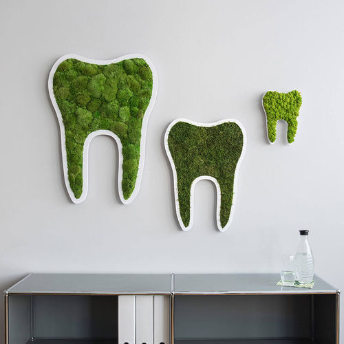 Pflanzrahmen / Polster Moos - TOOTH - FlowerArt GmbH - natürlich / für den Innenraum / Piktogramm