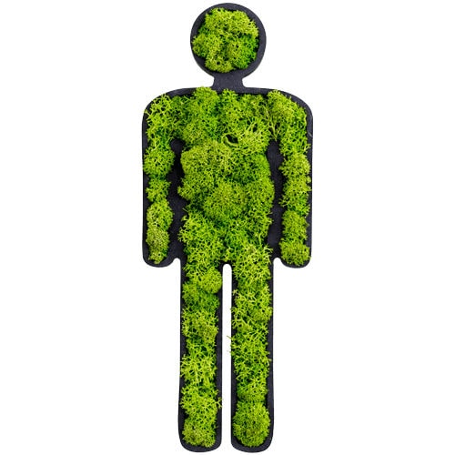 Pflanzrahmen / Polster Moos - MAN - FlowerArt GmbH - natürlich / für den Innenraum / Piktogramm