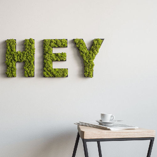 Pflanzrahmen / Polster Moos - LETTERS - FlowerArt GmbH - natürlich / für den Innenraum / Piktogramm