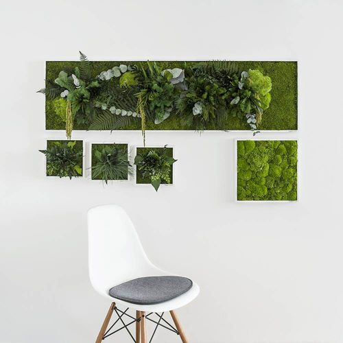 Pflanzrahmen / Polster Moos - ISLANDS - FlowerArt GmbH - natürlich / für den Innenraum