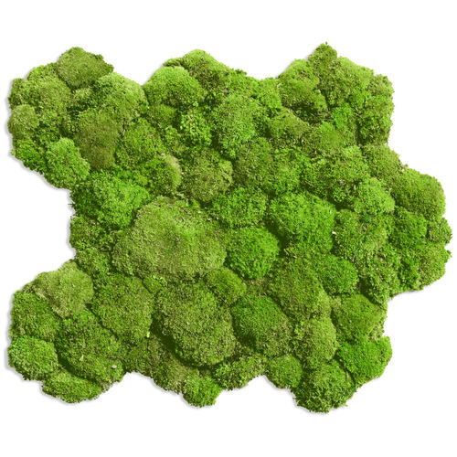 Stabilisierter Pflanzrahmen - FLEXGREEN  - FlowerArt GmbH - Polster Moos / natürlich / für den Innenraum
