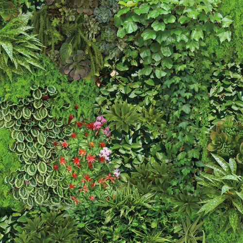 Moderne Tapete - Living Wall - York wallcoverings - Vinyl / Blumenmotiv / 3D-Effekt