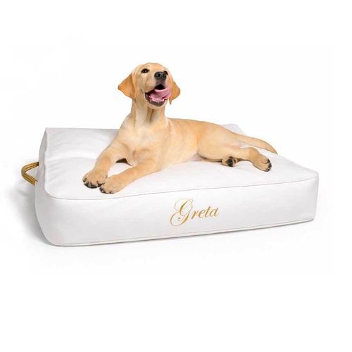 Kissen für Haustiere (Hund und Katze) - DOG-CLO series - TRONA - rechteckig / einfarbig / für Privatgebrauch