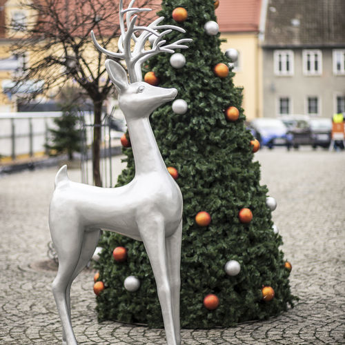 Weihnachtsskulptur - CHRISTMAS REINDEER RUDOLF - Terra Group - Glasfaser / für Außenbereich / Garten