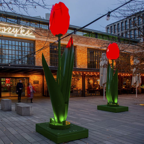 Dekorskulptur - 3D Tulip - Terra Group - für Außenbereich / für Straße / beleuchtende