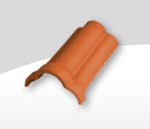 Ortgang-Dachziegel - 1000 - Laumans - Ton