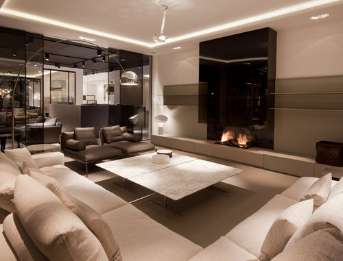 Gaskamin - 870 - Modus Fireplaces - Bioethanol / Holz / Einbau