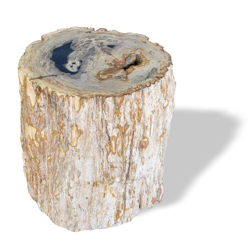 Moderner Hocker - SKU: 527 - Unik - versteinertes Holz / für Gewerbegebrauch / für Außenbereich