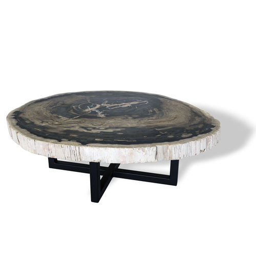Moderner Couchtisch - 1001 - Unik - versteinertes Holz / oval / für Privatgebrauch