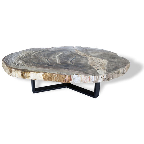 Moderner Couchtisch - 1005 - Unik - versteinertes Holz / oval / für Privatgebrauch