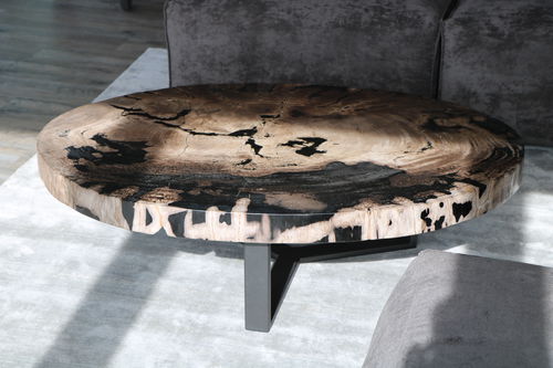 Moderner Couchtisch - Unik - versteinertes Holz / oval / für Privatgebrauch