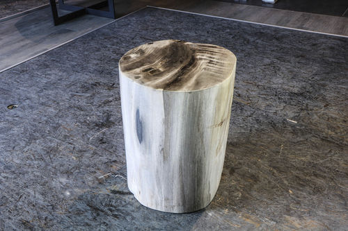 Moderner Hocker - Stool 14 - Unik - versteinertes Holz / für Gewerbegebrauch
