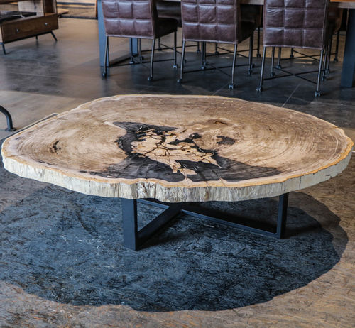 Moderner Couchtisch - Unik - versteinertes Holz / Gestell aus Metall / für Privatgebrauch