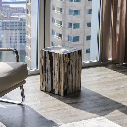 Moderner Hocker - Unik - Holz / versteinertes Holz / mit Mittelfuß