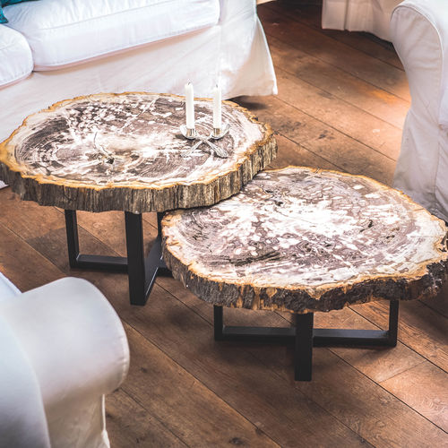 Moderner Couchtisch - Unik - versteinertes Holz / Gestell aus Stahl / Gestell aus rostfreiem Edelstahl