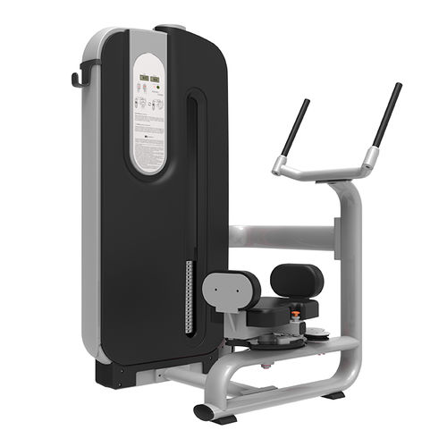 Beckendrehungs-Fitnessgerät - LDGL-7050 - landfitness - für den Innenraum / für Außenbereich / für Gewerbegebrauch