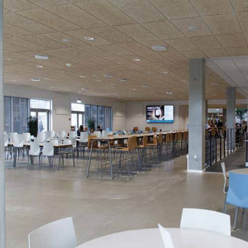 Einbaudownlight - RAX 200 - SG LIGHTING - LED / rund / für den Innenraum