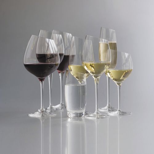 Glas mit Stiel - SYRAH - eva solo - Wein / geblasenes Glas / für Privatgebrauch