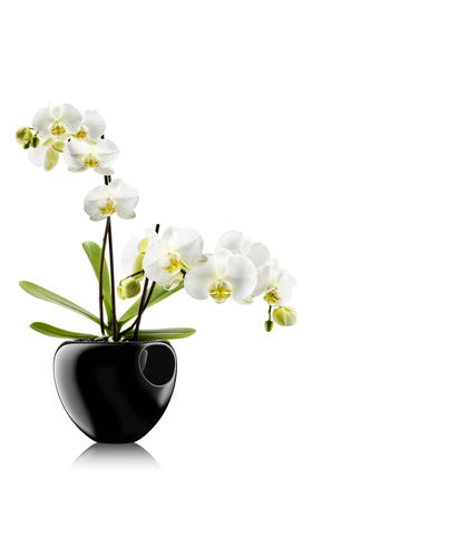 Kunststoff-Pflanzgefäß - ORCHID - eva solo