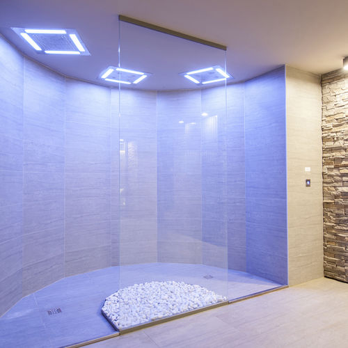 Multifunktionsdusche - EMOTIONAL - Carmenta Wellness - für Nischen / für Spa / Mehrfach